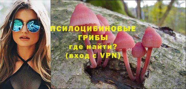 mdpv Бородино