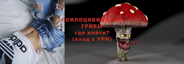 mdpv Бородино