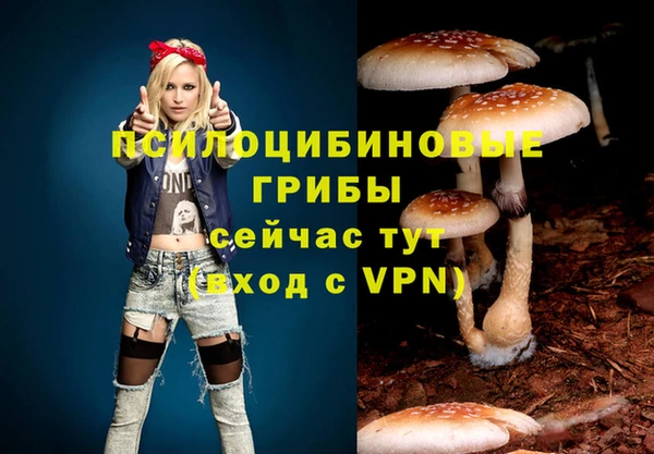 jwh Бугульма
