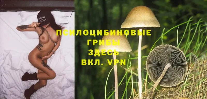 Псилоцибиновые грибы MAGIC MUSHROOMS  это официальный сайт  Верхний Уфалей 