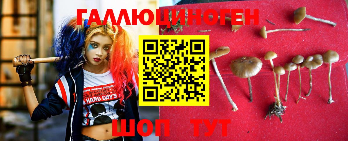 Псилоцибиновые грибы прущие грибы  Вход с VPN  Верхний Уфалей 